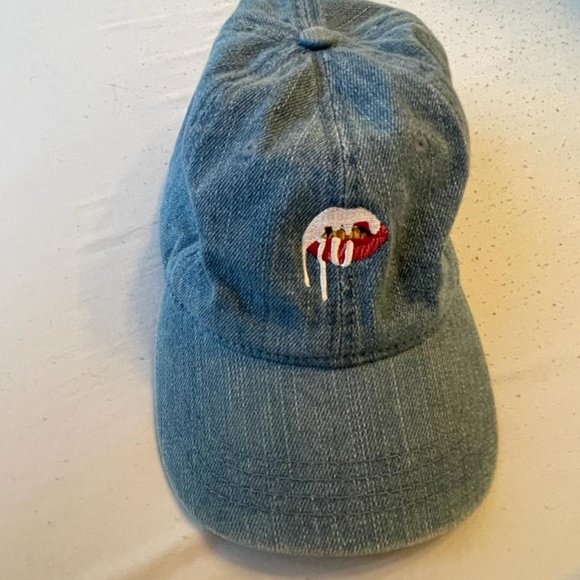 Kylie Cosmetics Hat Strapback Blue Denim Baseball Dad Cap Lipstick Logo Jenner - Picture 2 of 6